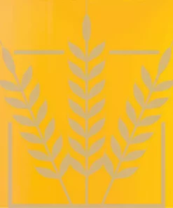 BEST Heidelberg Wheat malt | 3,5 EBC | 1 kg