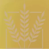 BEST Oat Malt | 3-8 EBC | 1 kg