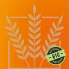 BEST Pale Ale Malt | 5-7 EBC | 1 kg