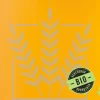 BEST Pilsen malt | 3-4,9 EBC | 1 kg
