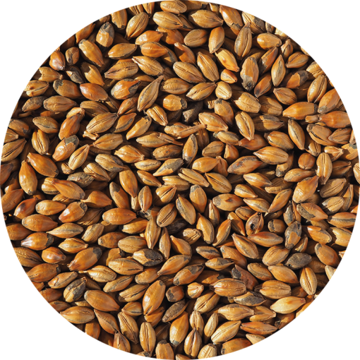 Brown malt 1 kg