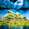 Columbus- Cryo Hops Pellets 100 g