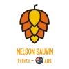 Nelson Sauvin 100 g