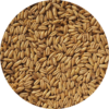 Naked Oat malt 100 g