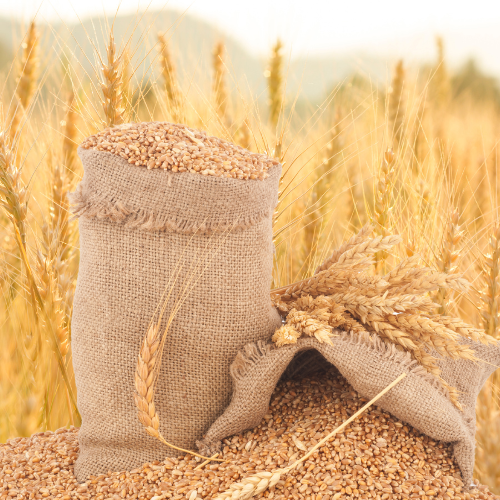 Råvarer & Bryggesett