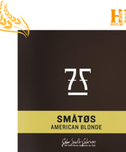 Småtøs American Blonde 25 L allgrain ølsett