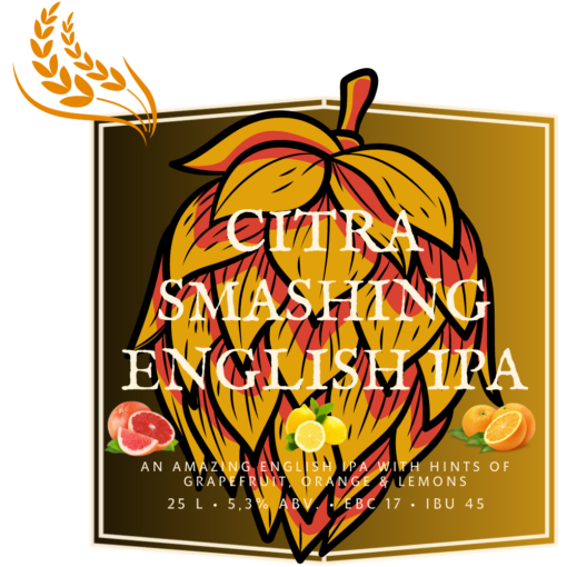 Citra smashing English IPA