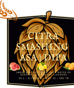 Citra Smashing ASA/DIPA