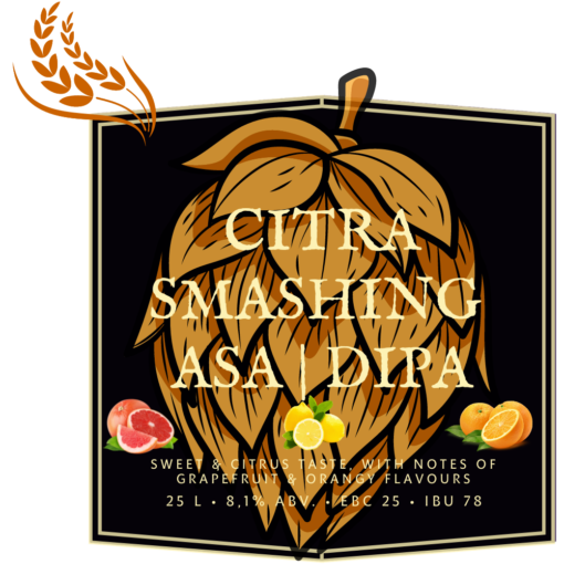 Citra Smashing ASA/DIPA