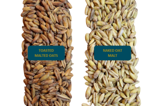 Crisp Toasted Oat malt 1 kg