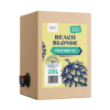 Beach Blonde Fresh Wort Kit