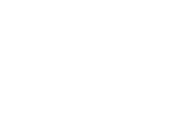 Torrefied Wheat 1 kg(1)