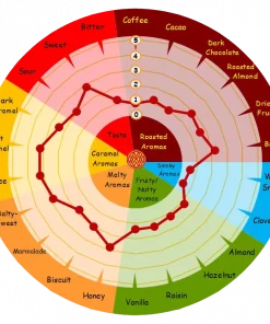 gallery-1241-for-107690