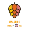 Amarillo 2023 7,5% 100 g