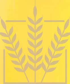 BEST NP Ultra-Pale malt | 2-2,3 EBC | 1 kg