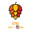 Citra 2025 AA%: 13,8 100g