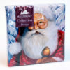 Serviett 20 stk 33x33 cm santa with bird