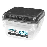 Fryse/oppbevaringsboks P1 Artic 0,75 liter 3 stk