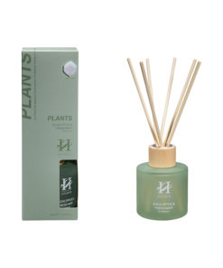 Duftpinner Holmen Serene Eucalyptus & fresh mint