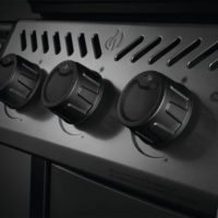 gallery-2979-for-F365SIBPGT