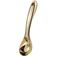 Iskje Modern House Glory gull