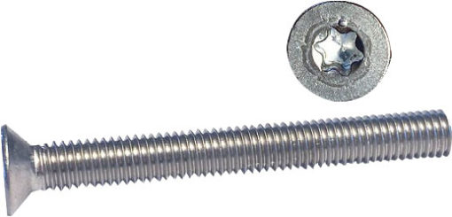 Maskinskrue us. torx 6 x 70 a4 ISO 14581 2 stk.