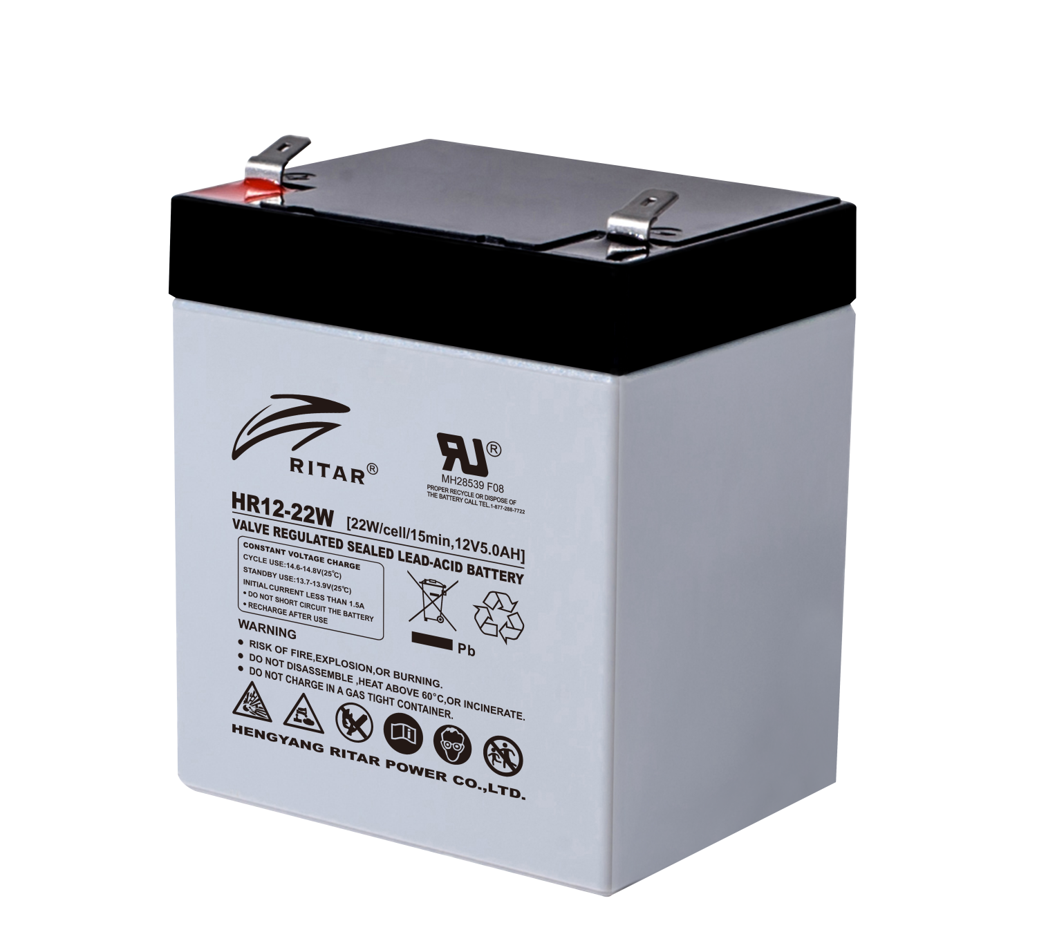 RITAR High Rate AGM Batteri 12V 5AH (90x70x101mm) F2