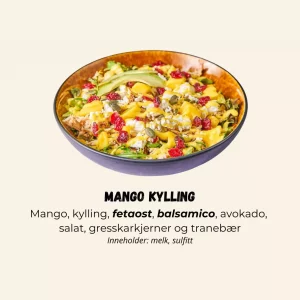Salat Mango Kylling