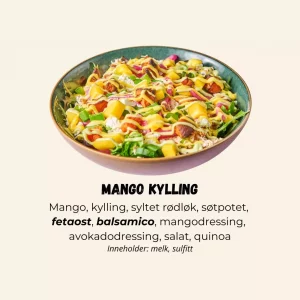 Quinoabowl Mango Kylling