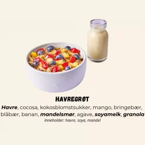Havregrøt