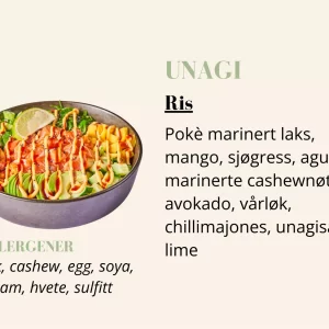 Pokébowl - Unagi - Ris