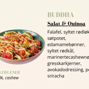Quinoabowl - Buddha