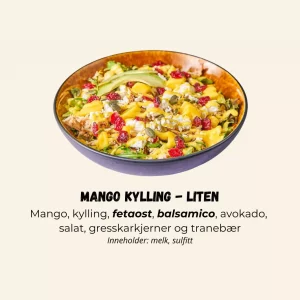 Salat Mango Kylling - LITEN