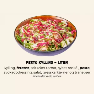 Salat Pesto Kylling - LITEN