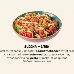 Quinoabowl Buddha - LITEN