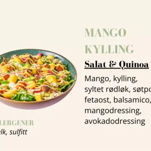 Quinoabowl - Mango Kylling - Liten