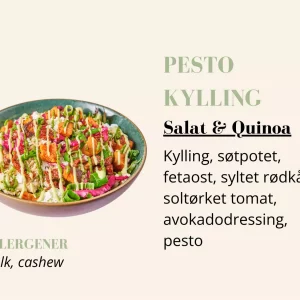 Quinoabowl - Pesto Kylling - Liten