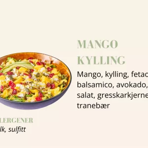 Salat - Mango Kylling - Liten