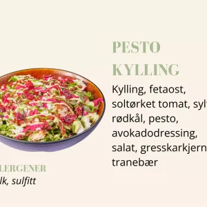 Salat - Pesto Kylling - Liten