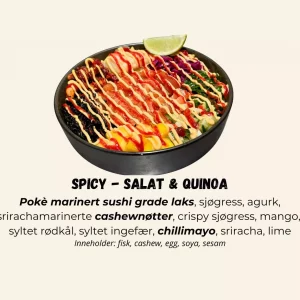 Poké - Spicy - Salat & Quinoa