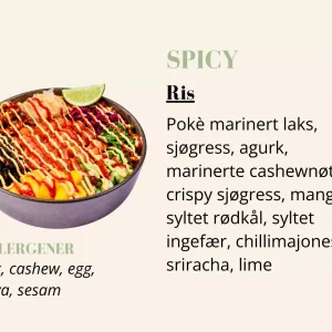 Poké - Spicy - Ris - Liten
