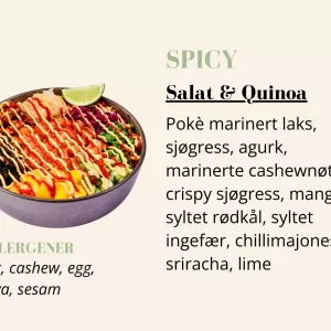 Poké - Spicy - Salat & Quinoa