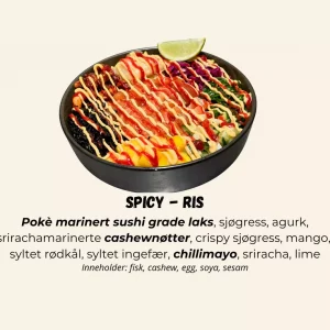 Poké - Spicy - Ris