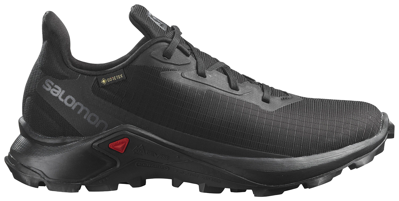 Sko Salomon Alphacross GTX