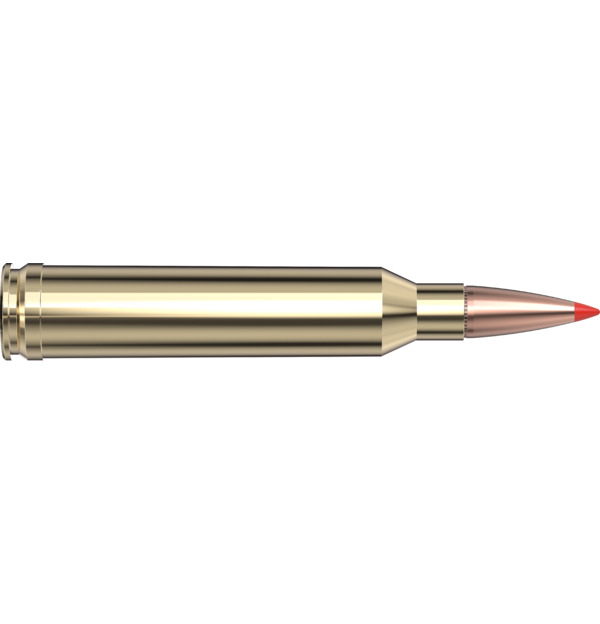 Hornady AMMO 7MM REM MAG 139 GR SSTSPF