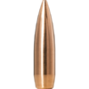 Norma GTX Matchkuler cal.30 175gr / 11,3gram