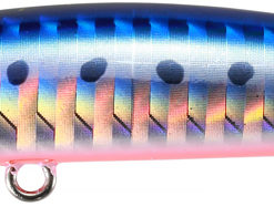 DUO Beach Walker Axcion Slim 85 Mazume Sardine AHA0087