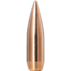 Norma GTX Matchkuler cal.30 155gr / 10,0 gram