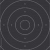 Duell/Hurtig-skive Innstikk 25m Pistol