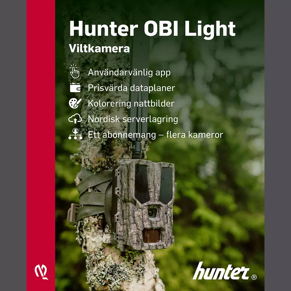 Hunter OBI Light Cloud